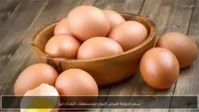 سعر كرتونة البيض للمستهلك في الأسواق المحلية وبورصة الدواجن الثلاثاء فبراير 2026