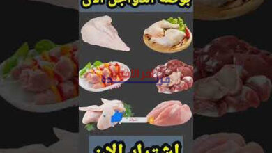 سعر كيلو الفراخ البيضاء اليوم في بورصة الدواجن وأبرز متاجر السوق