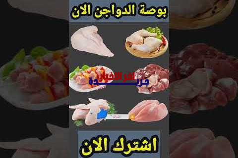 سعر كيلو الفراخ البيضاء اليوم في بورصة الدواجن وأبرز متاجر السوق