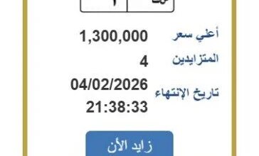 سعر لوحة السيارة المميزة يصل إلى مليون وثلاثمائة ألف جنيه في مزايدة نارية مثيرة