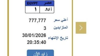 سعرها يتجاوز الـ750 ألف جنيه.. مزايدة نارية على لوحة سيارة مميزة