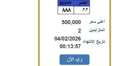 سعرها يتجاوز نصف مليون جنيه.. مزايدة حامية على لوحة سيارة فريدة من نوعها