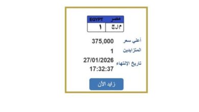 سعرها يصل إلى 375 ألف جنيه.. «المرور» تطرح لوحة سيارة فريدة للتزايد عليها
