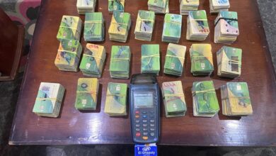 شروط إضافة المواليد الجدد على بطاقة التموين 2026 كيفية الاستفادة من التعديلات الجديدة