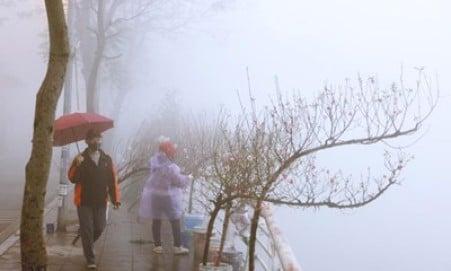 شم يتوقع أن تسيطر الضباب على شمال فيتنام وتكون الأجواء باردة ليلاً وصباحاً