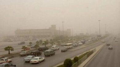 طقس اليوم مع نشاط الرياح والأمطار في المناطق المختلفة وتأثير ذلك على الحالة الجوية في 3 فبراير 2026