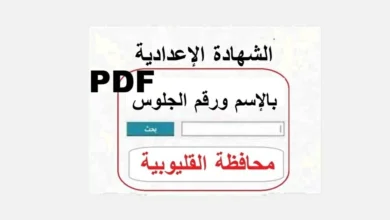 ظهرت الآن رسميًا.. نتيجة الشهادة الإعدادية بمحافظة القليوبية 2026 بنسبة نجاح 77.58% ورابط الاستعلام برقم الجلوس