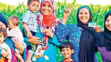 فئات المستحقين لمعاش تكافل وكرامة وشروط التقديم والأوراق المطلوبة