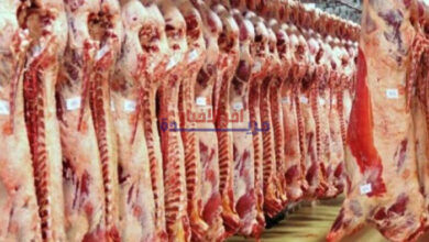 قائمة أسعار اللحوم والدواجن في معارض أهلاً رمضان اليوم الخميس
