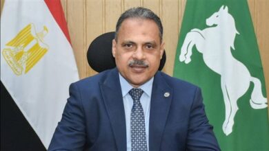 محافظ الشرقية يعلن نتائج الشهادة الإعدادية بنسبة نجاح تصل إلى 70.63%