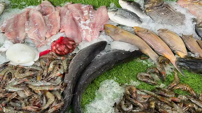 مراجعة أسعار البلطي والسمك والمأكولات البحرية في سوق العبور بتاريخ 2 فبراير 2026