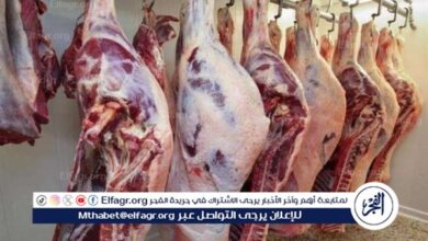 مراجعة أسعار اللحوم البلدى والمستوردة في أسواق المنيا اليوم الثلاثاء 3 فبراير 2026