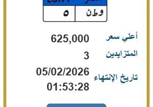 مزايدة نارية تتجاوز نصف مليون جنيه على لوحة سيارة مميزة تثير اهتمام الجمهور