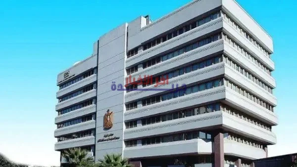 معلومات الوزراء تبرز تصاعد دور الابتكار في تنويع مصادر المعادن وزيادة الاستدامة الاقتصادية