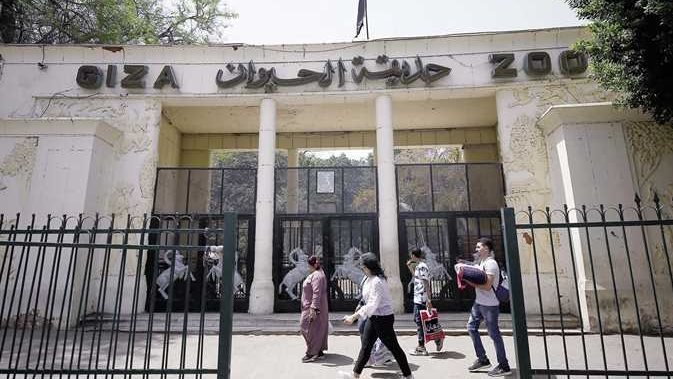 موعد افتتاح حديقة الحيوان بالجيزة بعد التجديد الشامل في 2026