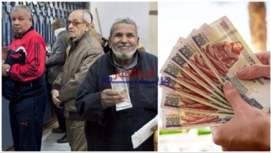 موعد صرف معاشات مارس 2026 وكيفية الاستعلام عن المستحقات المالية