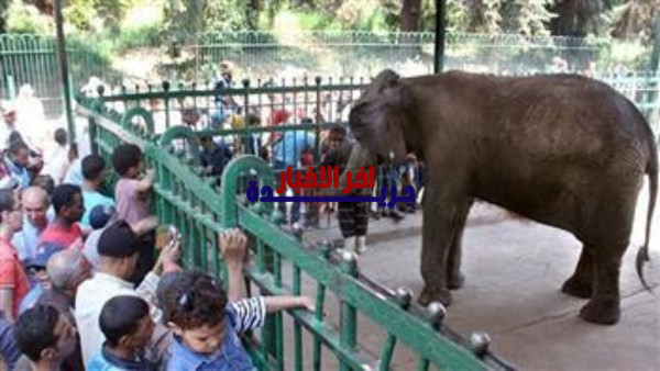 موعد عيد الفطر في مصر 2026 فلكيًا وتفاصيل بداية رمضان والإجازات الرسمية