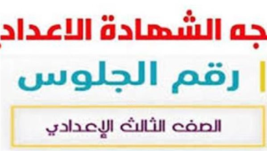 نتائج الصف الثالث الإعدادي بمحافظة المنيا.. تعرف على نسب النجاح في الإدارات التعليمية