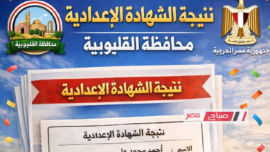 نتيجة الصف الثالث الإعدادي بمحافظة القليوبية للترم الأول لعام 2026 الرابط المباشر للاستعلام