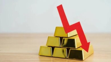 هبوط سعر الذهب في مصر يضر بشكل كبير بوثائق الاستثمار في المعدن النفيس