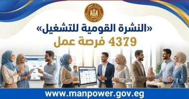 وزارة العمل تطرح 4379 فرصة عمل جديدة في 12 محافظة ضمن نشرة التوظيف