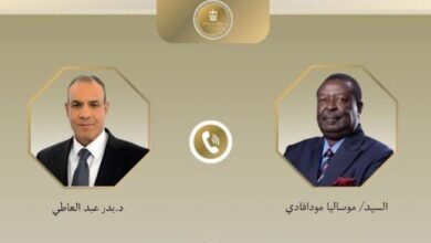 وزير الخارجية يؤكد على أهمية تيسير البيئة أمام الشركات المصرية للاستثمار في كينيا