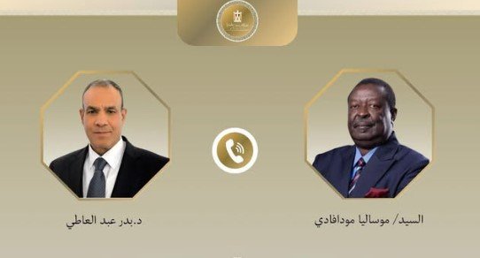 وزير الخارجية يؤكد على أهمية تيسير البيئة أمام الشركات المصرية للاستثمار في كينيا