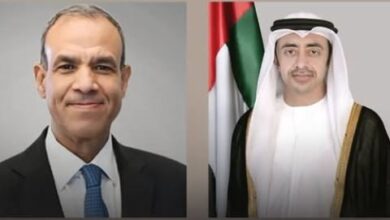 وزير الخارجية يبحث مع نظيره الإماراتي آخر المستجدات في الوضع بغزة