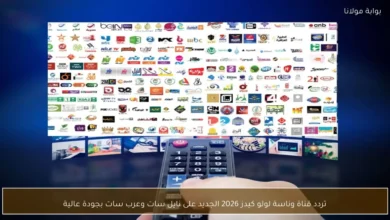 تردد قناة وناسة لولو كيدز 2026 الجديد على نايل سات وعرب سات بجودة عالية يضمن لطفلك رحلة ممتعة وآمنة