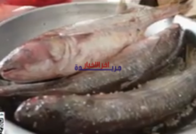 أسرار فرعونية تكشف سبب ارتباط عيد الفطر بتناول الكحك والرنجة بشكل مذهل