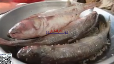 أسرار فرعونية تكشف سبب ارتباط عيد الفطر بتناول الكحك والرنجة بشكل مذهل