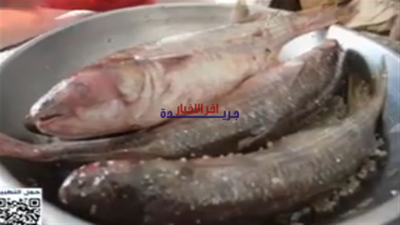 أسرار فرعونية تكشف سبب ارتباط عيد الفطر بتناول الكحك والرنجة بشكل مذهل