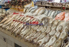 أسعار الأسماك في أسواق البحيرة اليوم الأحد 22 مارس.. سجل ارتفاعات وتوقعات بالمزيد