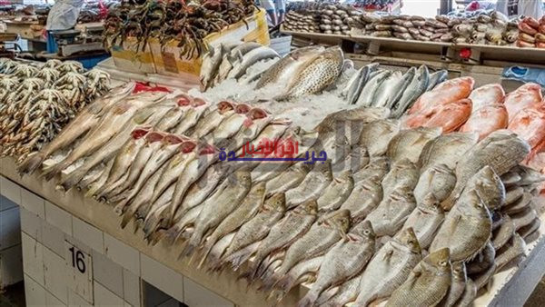 أسعار الأسماك في أسواق البحيرة اليوم الأحد 22 مارس.. سجل ارتفاعات وتوقعات بالمزيد