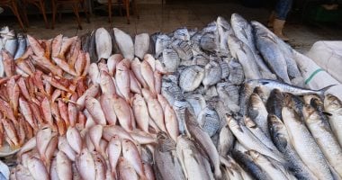 أسعار الأسماك في مطروح اليوم الأحد 22-3-2026.. التونة تصل إلى 200 جنيه والسمك يفجر مفاجأة للباعة والمستهلكين