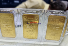 أسعار الذهب المحلية تتوقف عن الهبوط مؤقتًا.. هل بداية استقرار؟