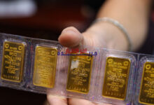 أسعار الذهب تتراجع اليوم 20 مارس 2026.. خسائر بملايين الدونغ في شركة SJC وتوقعات بمزيد الانخفاض