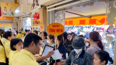 أسعار الذهب في SJC الآن.. سعر خاتم الذهب عيار 24 قيراط 9999 وتحديثات أسعار الذهب العالمية في بداية الأسبوع