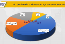 ارتفاع أسعار الأسمدة العالمية بعد إغلاق مضيق هرمز.. اليوريا تصل إلى 674 دولارًا للطن