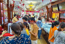 ارتفاع تاريخي لذهب شركة SJC: سعره يُسجل زيادة بمقدار 600,000 دونغ ليصل إلى 176.1 مليون دونغ