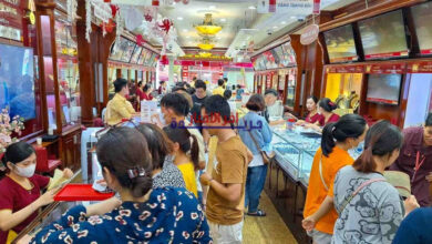 ارتفاع تاريخي لذهب شركة SJC: سعره يُسجل زيادة بمقدار 600,000 دونغ ليصل إلى 176.1 مليون دونغ