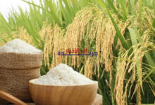 ارتفاع طفيف في أسعار الأرز المكسور العطري يثير قلق المستهلكين والأسواق