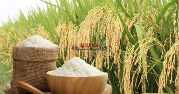 ارتفاع طفيف في أسعار الأرز المكسور العطري يثير قلق المستهلكين والأسواق