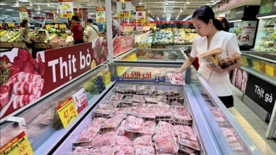 استقرار أسعار السلع الأساسية يخفف من العبء المالي عن المواطنين ويعزز الاستقرار الاقتصادي