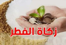 «الإفتاء» تكشف عن قيمة زكاة الفطر 2026 وموعد إخراجها… تعرف على التفاصيل المهمة