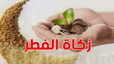 «الإفتاء» تكشف عن قيمة زكاة الفطر 2026 وموعد إخراجها… تعرف على التفاصيل المهمة