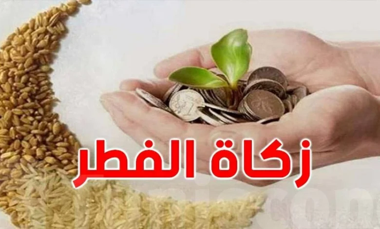 «الإفتاء» تكشف عن قيمة زكاة الفطر 2026 وموعد إخراجها… تعرف على التفاصيل المهمة