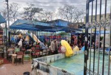 الدقهلية تتألق في ثاني أيام عيد الفطر.. المحافظ يؤكد استمرار تقديم الخدمات للمواطنين لضمان عيد سعيد