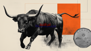 الدولار الكندي يحقق انتصارًا رغم تراجع أسعار النفط.. كيف يفعل ذلك؟