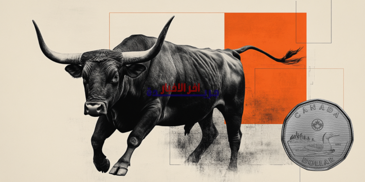 الدولار الكندي يحقق انتصارًا رغم تراجع أسعار النفط.. كيف يفعل ذلك؟